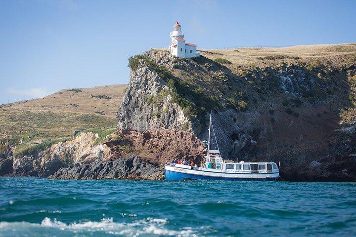 Taiaroa Head lighthouse on the cliffs at the tip of the Otago Peninsula